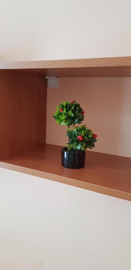 Elit 4 Apartments Sunny Beach Dış mekan fotoğraf