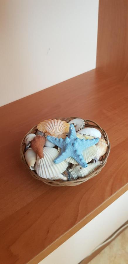 Elit 4 Apartments Sunny Beach Dış mekan fotoğraf